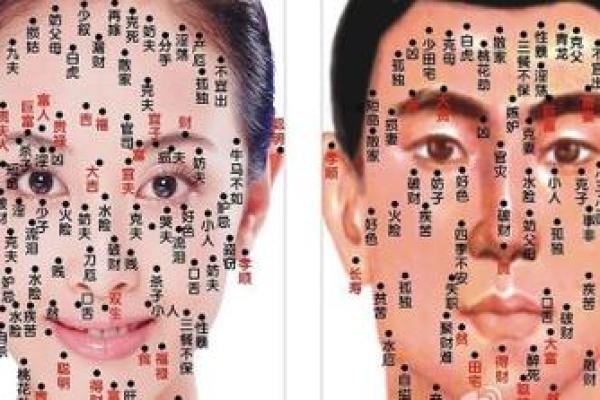 每月运势一览：肖猴人运程详尽解析