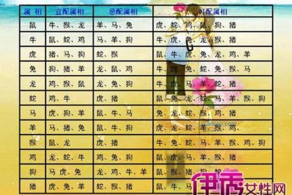 属鼠男和属狗女的婚姻相容性探讨