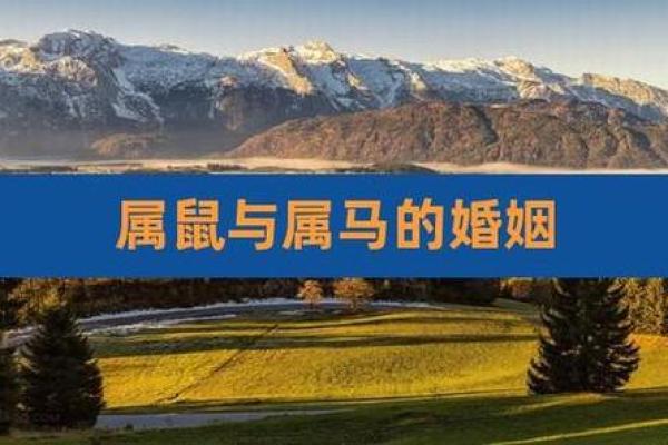 属马和属鼠的相配程度如何？