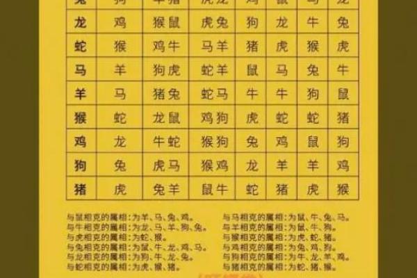 属马和属鼠的相配程度如何？