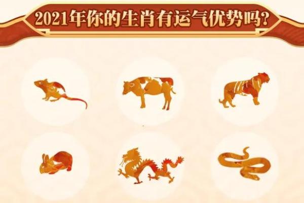 深入分析宋韶光十年运程：命理运势详解