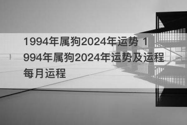 狗年运势解析与全年运程预测