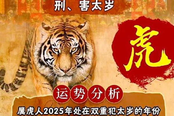 属虎和属龙的关系深度剖析 他们的性格是否契合