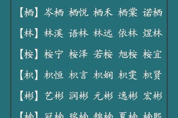 三个字名字大全：为宝宝取名提供灵感与建议