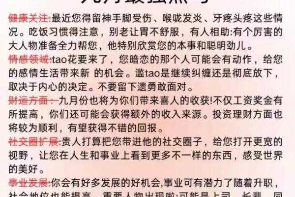 回顾属虎人的运势走势与发展建议