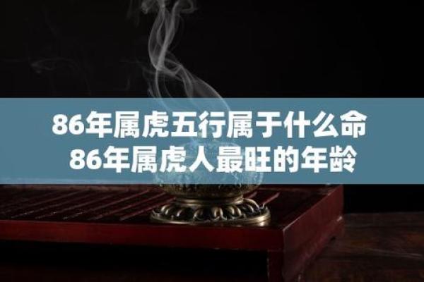 回顾属虎人的运势走势与发展建议