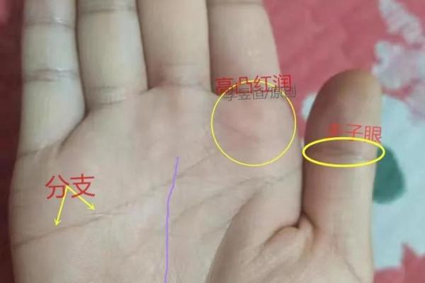 解析为什么我注定是发婆家的命运