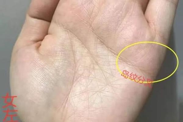 解析为什么我注定是发婆家的命运