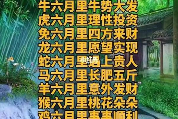 蛇生肖整体运势详解与运程预测
