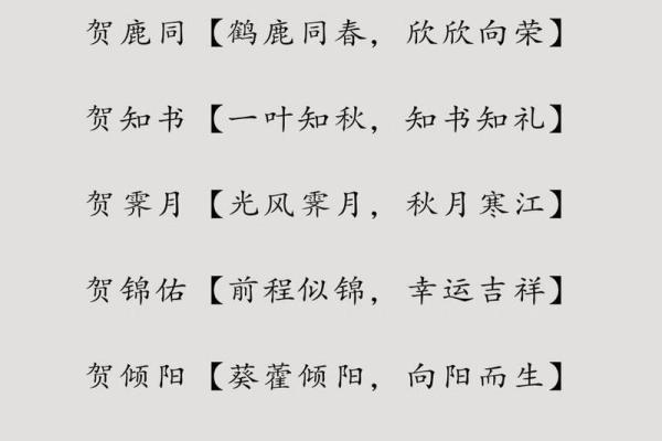 如何为小宝宝取一个寓意深远的名字