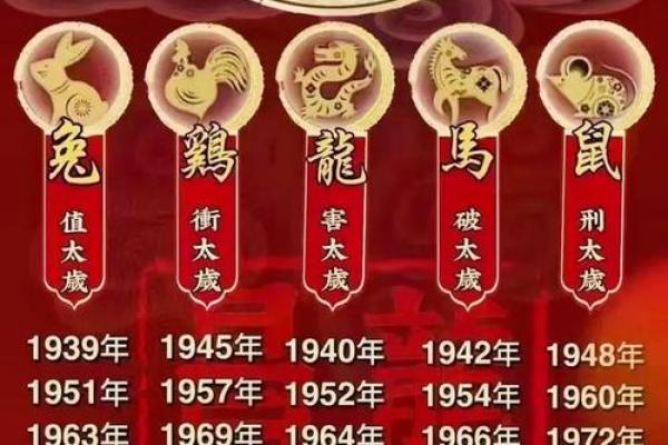 属鼠运势全面解析与运程预测