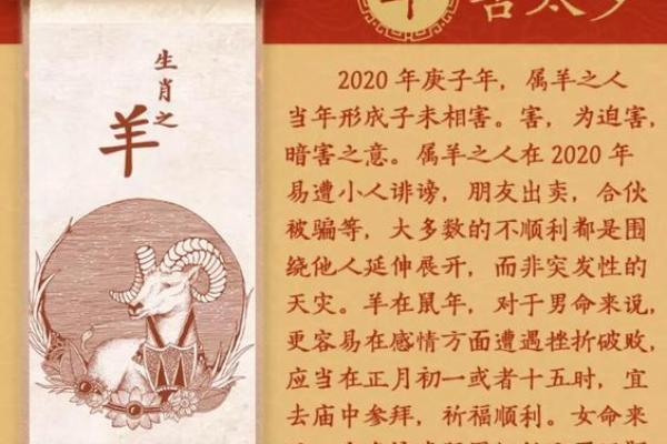 猴与羊婚姻配对解析：不同性格带来的独特魅力