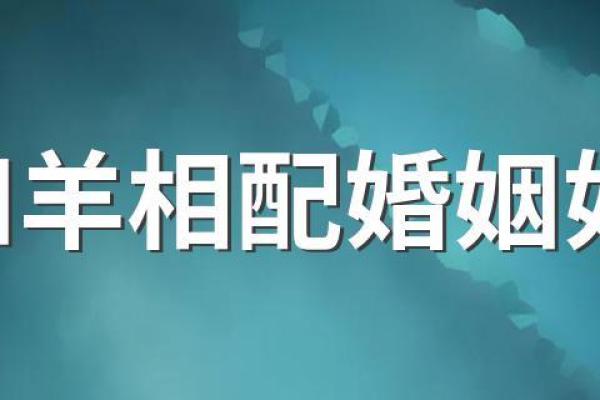猴与羊婚姻配对解析：不同性格带来的独特魅力