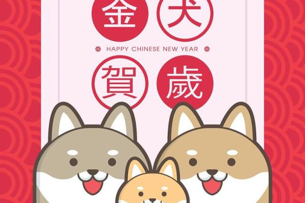 狗年兔运程解析 好运如何降临