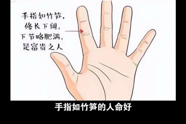 富贵命指纹的三大特征解析