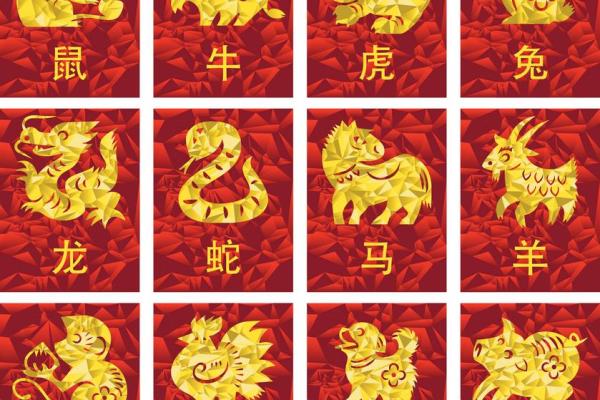 鼠兔是否能匹配？探讨十二生肖中的相配关系