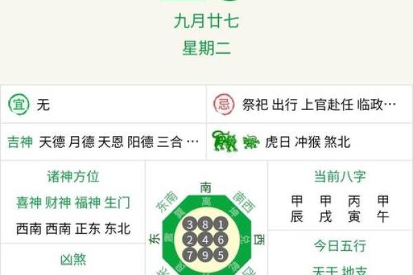 探秘年兔年运势与财运分析