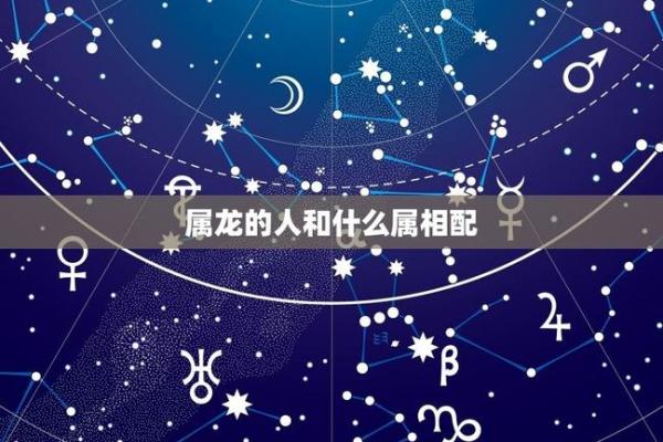 属龙和属蛇的相配指数揭秘
