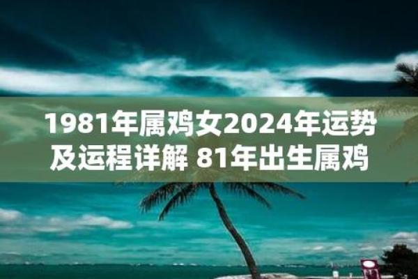 属鸡人运程详解：挑战与机遇并存