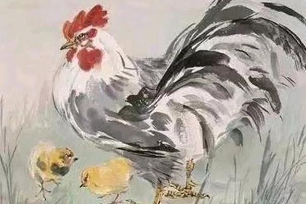 属鸡人运程详解：挑战与机遇并存