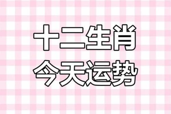 生肖运势预测：从到的运势变化