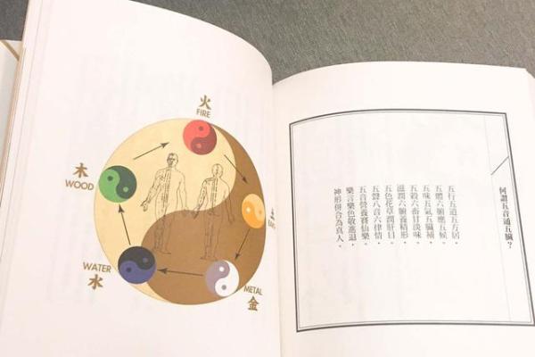 五行不缺的生活哲学与平衡之道