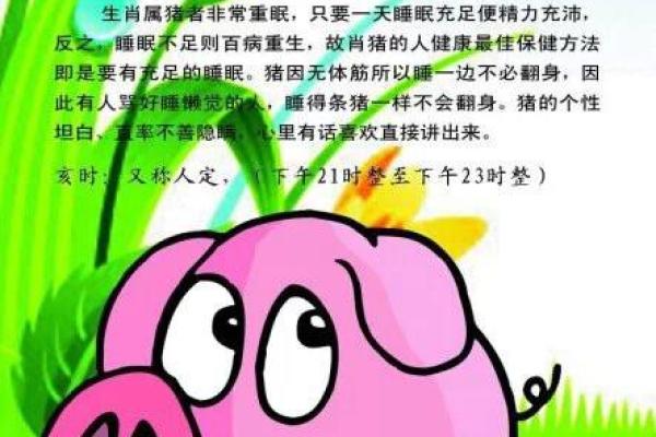 羊年事业爱情财运全方位运程解析