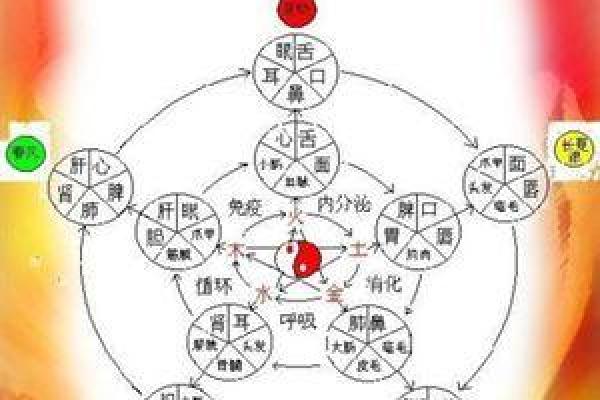 兰字五行属性解析及其在命理中的意义