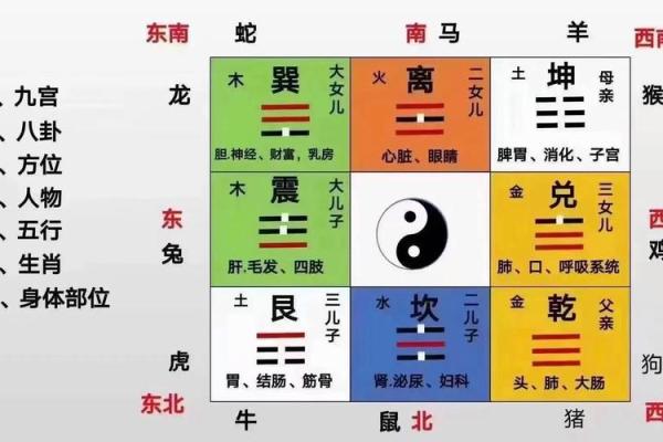 从家居风水角度出发，优化居住环境