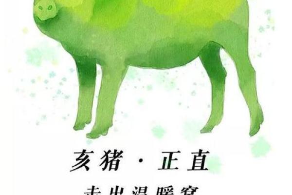 肖猪运程运势详解：感情与事业的双重挑战