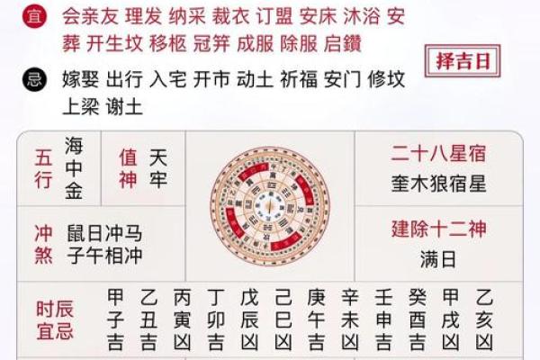 鼠人每月运势解析及运程趋势分析