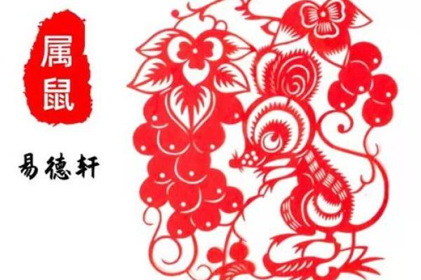 鼠人每月运势解析及运程趋势分析