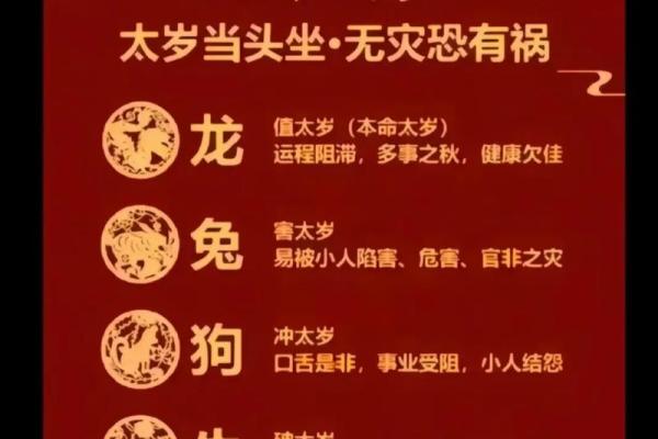 属龙人的一生运程解析与命运趋势分析