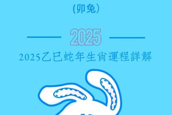 兔人每月运势解析及应对建议