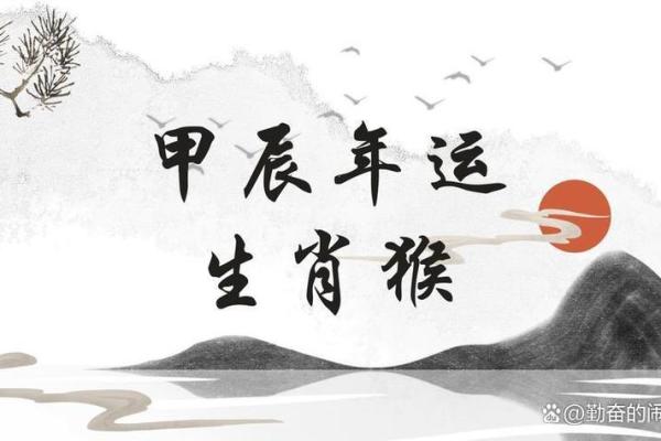 属猴人在的事业与感情运势详解