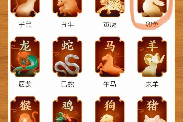 属兔人全年运势解析与运程展望
