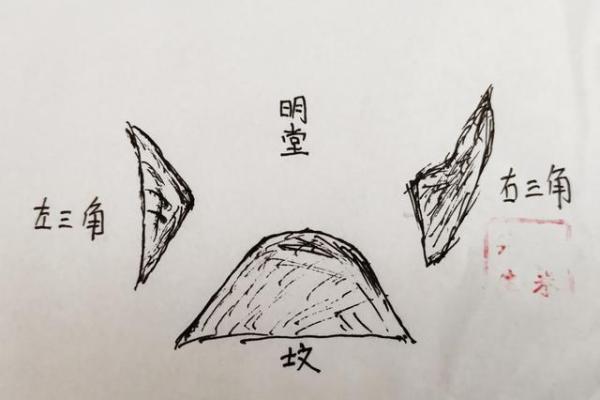 南平家居风水：打造和谐居住环境的秘诀