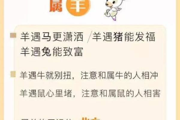 属羊人的运程：事业、财富与健康的挑战与机遇