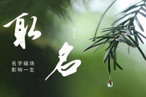 利用生辰八字选择名字，避免不合时宜的冲突