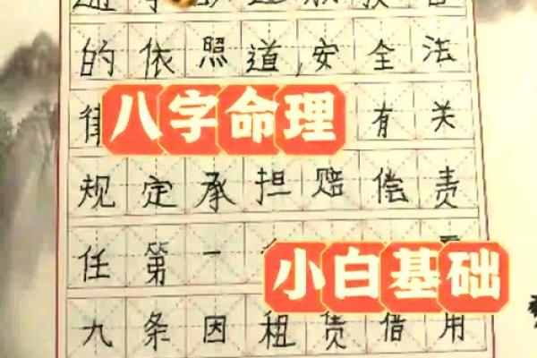 辰的五行属性解析与其在命理中的作用