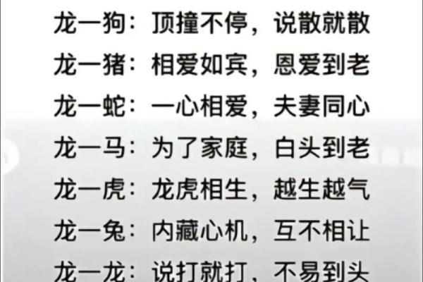 属虎与属龙的婚配是否合适 解析两者的性格与命运契合度