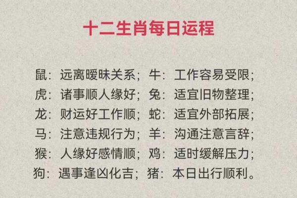 十二生肖运势全面解析与运程预测