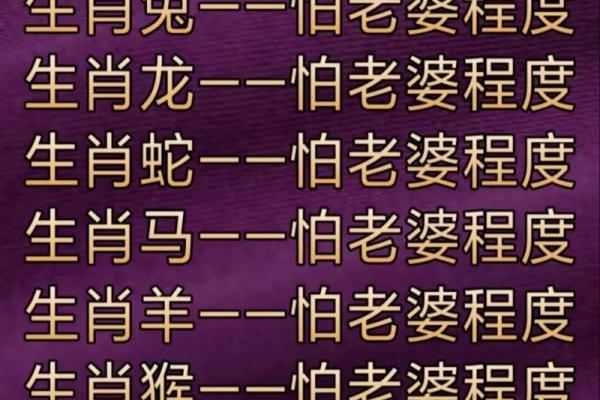 属虎女与属猪男是否合适？深度剖析