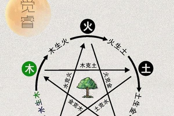 了解大林木命：五行中的木元素与命运走向