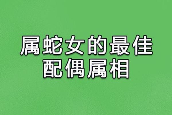 属猴与属蛇的性格互补关系