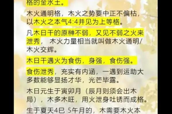 木火命的五行解析与命理特点