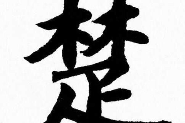 楚字的魅力：历史背后的文化象征与意义