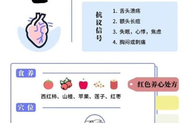 心脏五行属性解析及其对健康的影响