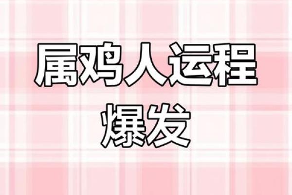 马年鸡的运势波动与应对策略