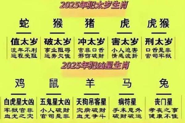 出生的虎人在的运势分析与预测